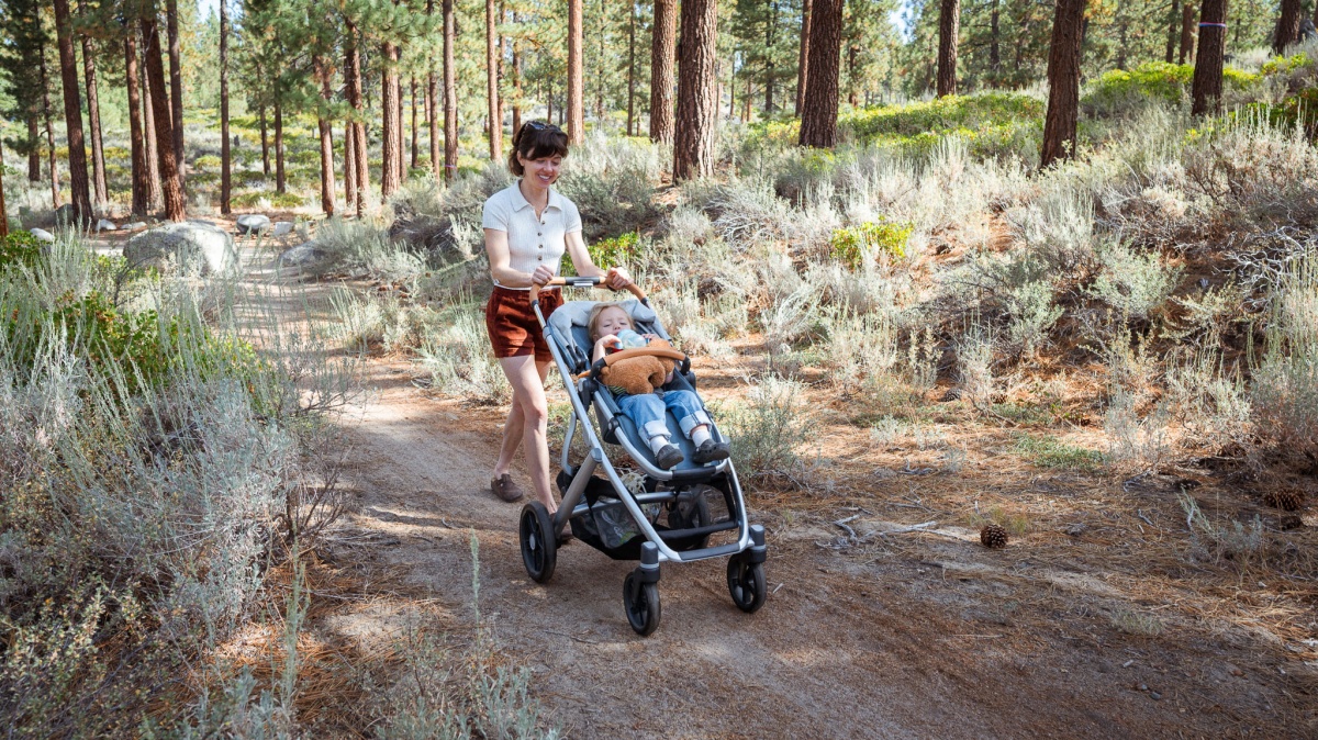 UPPAbaby Vista V3 & Mesa Travel System — alternate view