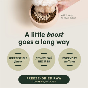 Instinct Raw Boost Freeze-Dried Raw Meal Mixers Beef — alternate view