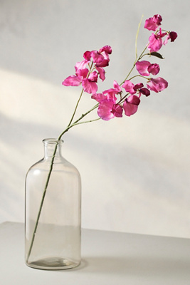 Anthropologie Faux Lathyrus Spray — alternate view