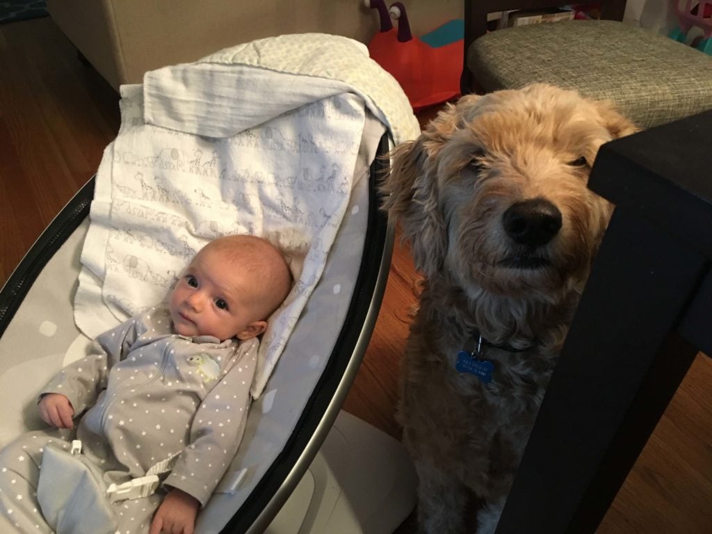 4moms MamaRoo 4 — alternate view