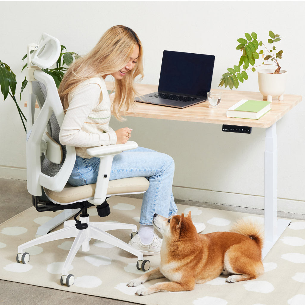 ErgoRise Pro Office Chair — alternate view