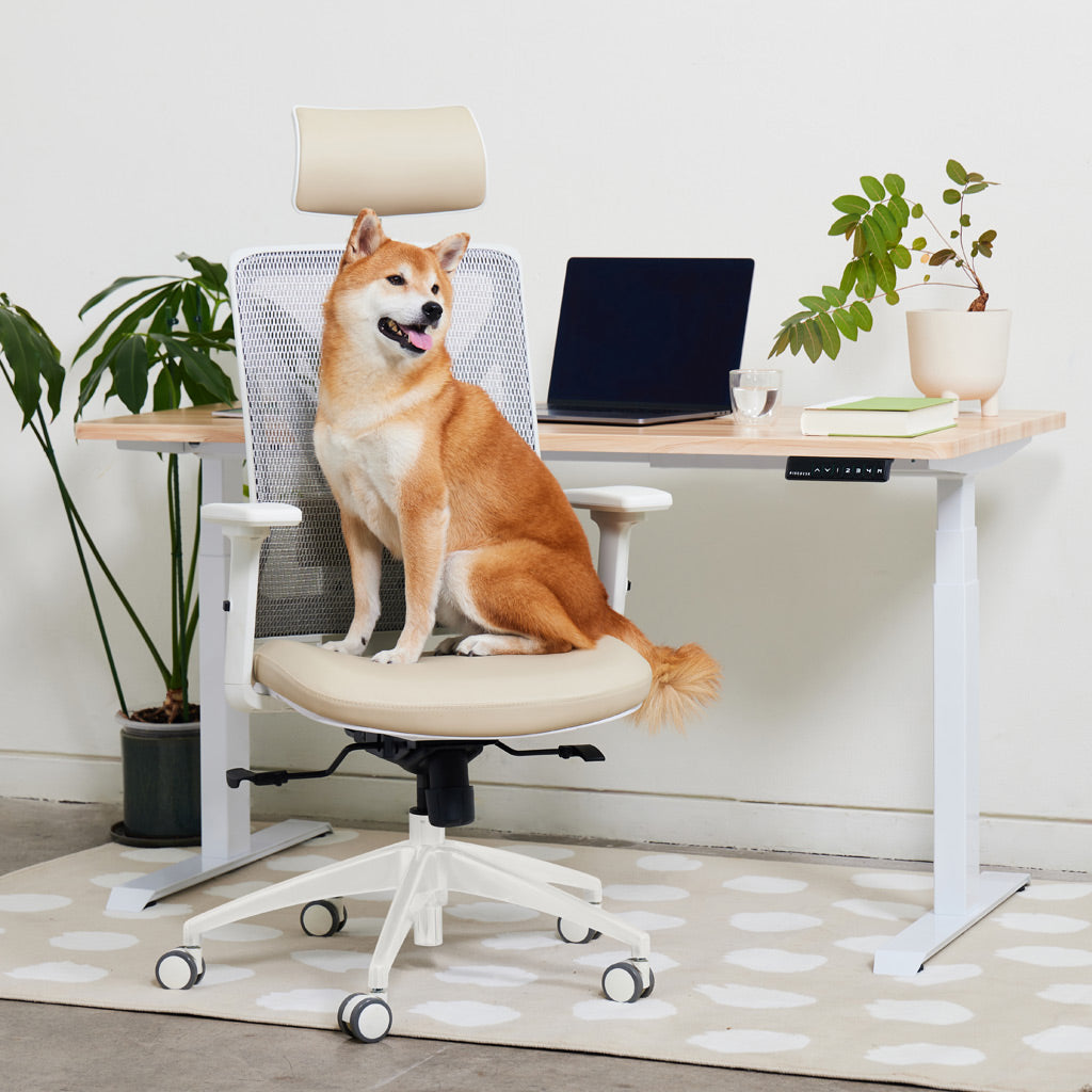 ErgoRise Pro Office Chair