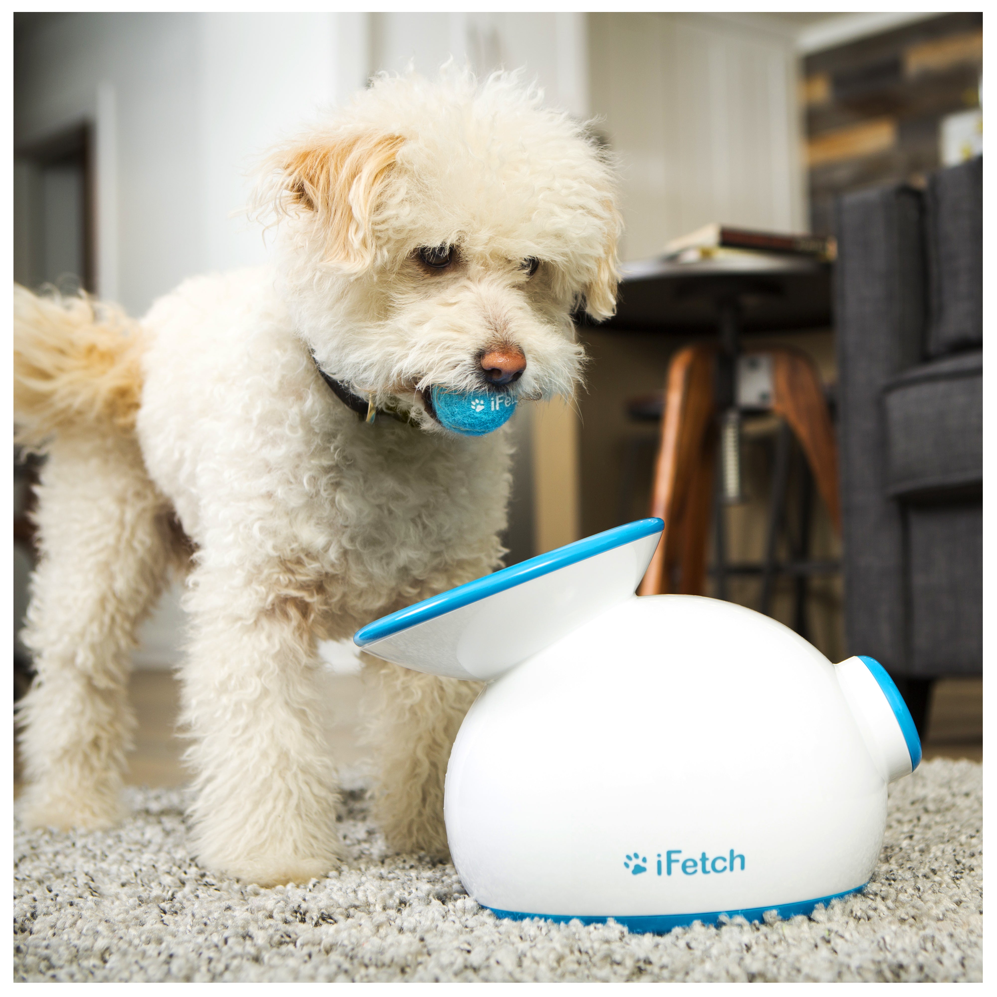 iFetch Ball Launcher — alternate view