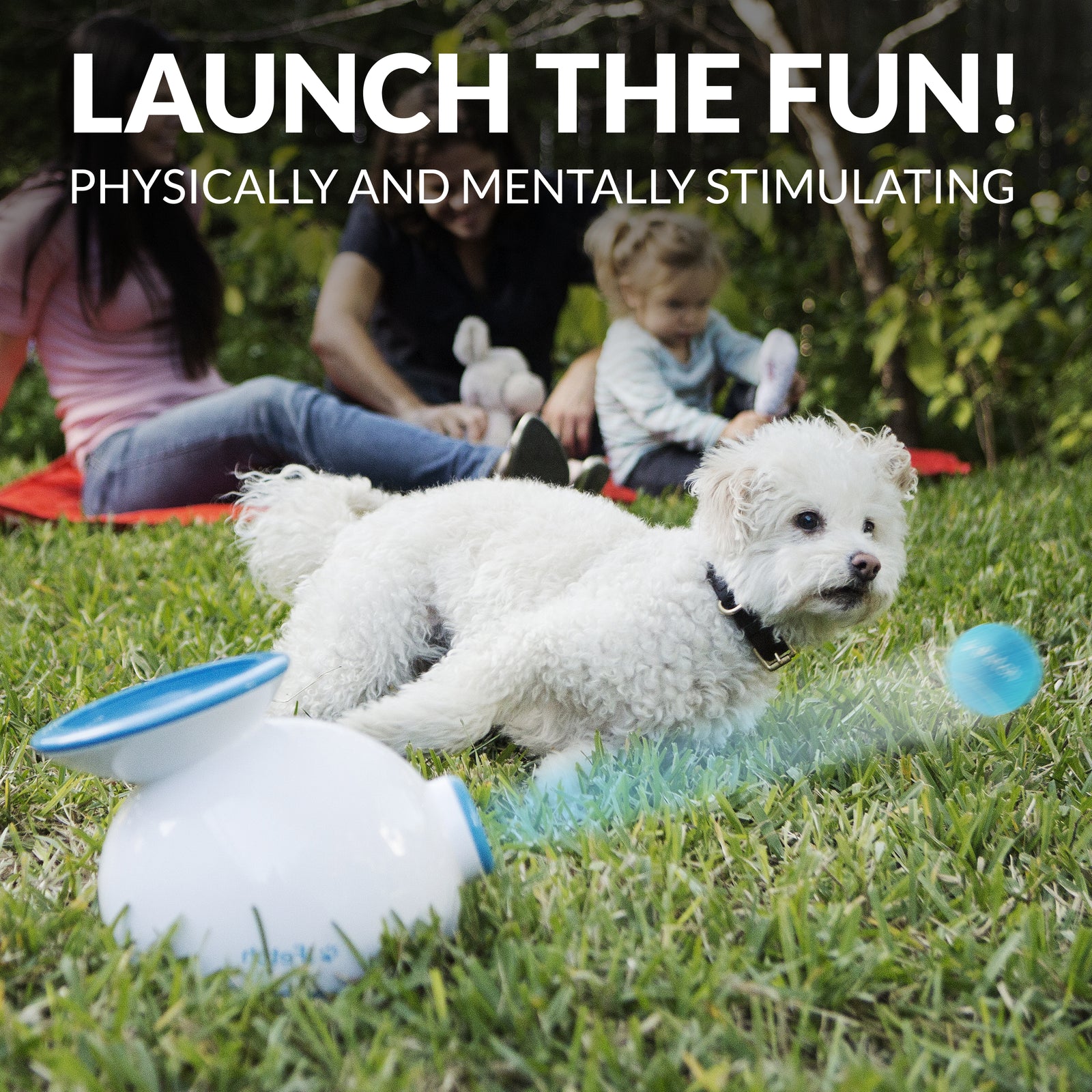 iFetch Ball Launcher — alternate view