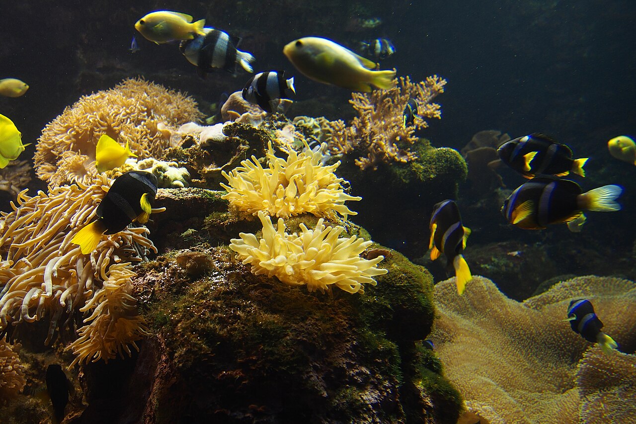 Life Extension Optimized Folate
