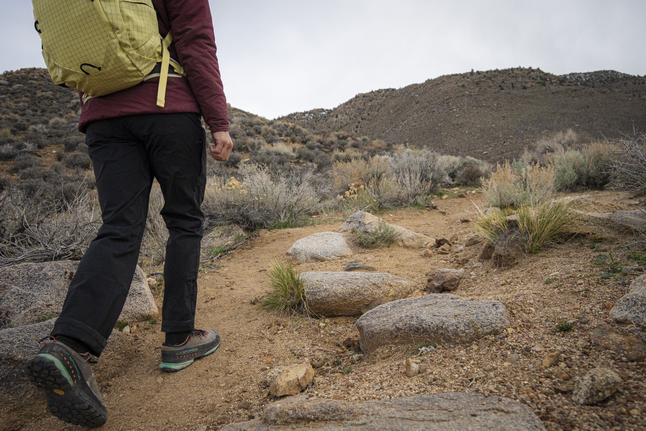 Patagonia Quandary Pants — alternate view