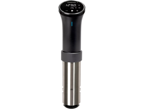 Anova Precision Oven — alternate view