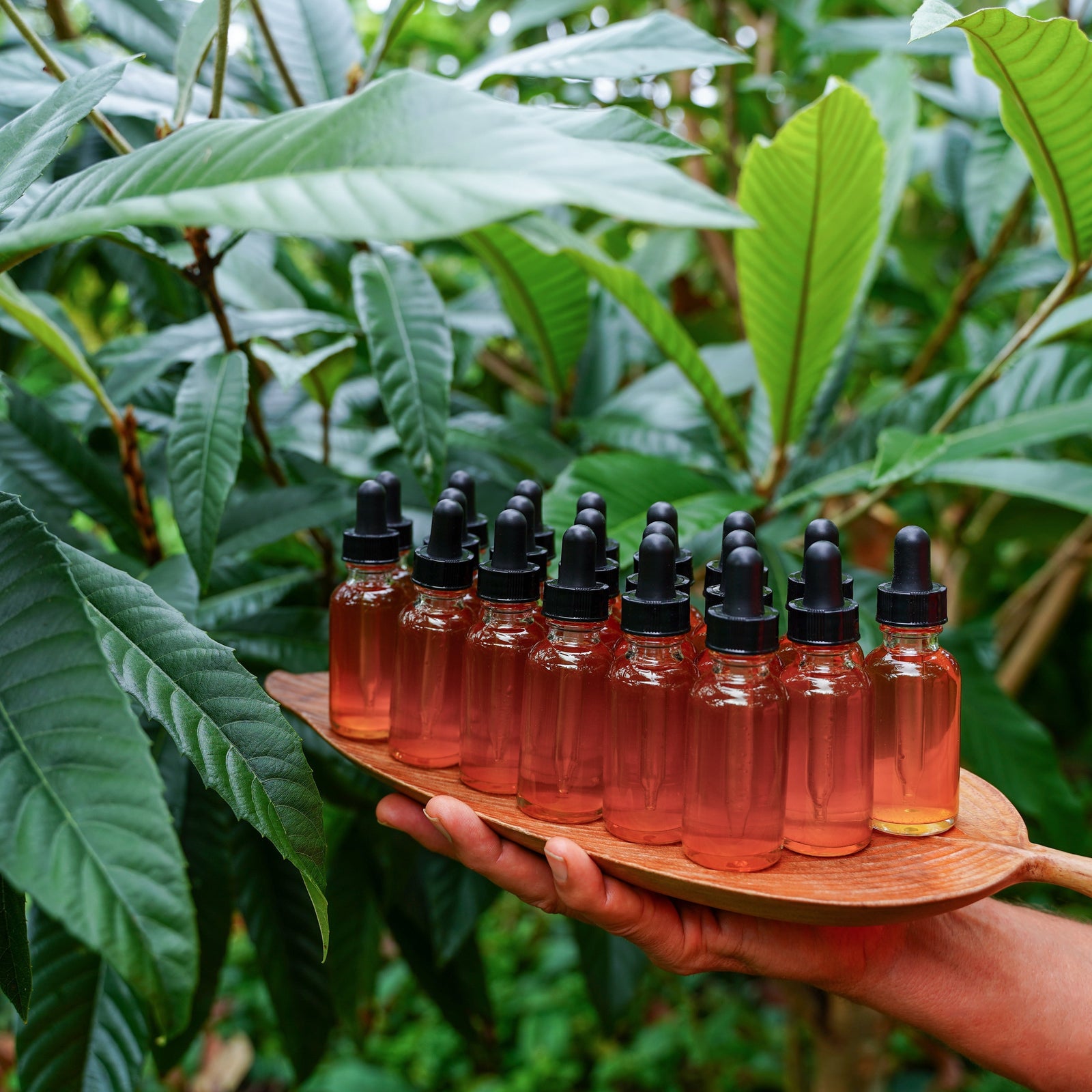 Kauai Ashwagandha — alternate view