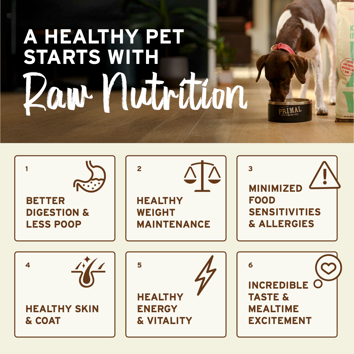 Primal Pet Foods Primal Freeze-Dried Nuggets — alternate view