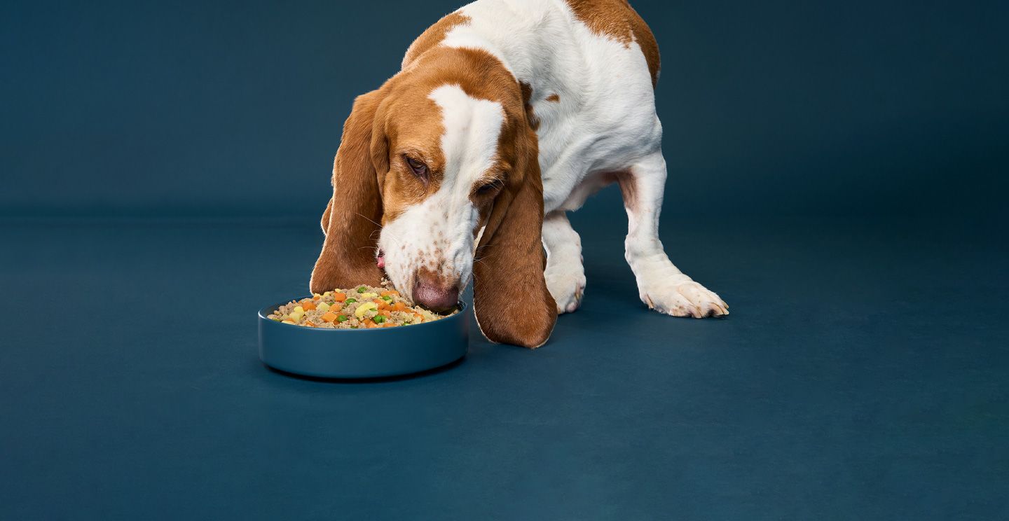 Nom Nom Fresh Pet Food — alternate view
