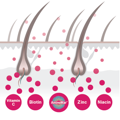 Viviscal Maximum Strength Hair Growth Supplements — alternate view