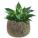 Sunnydaze Decor Round 14-in W x 14-in H Ceramic Outdoor Planter — alternate view