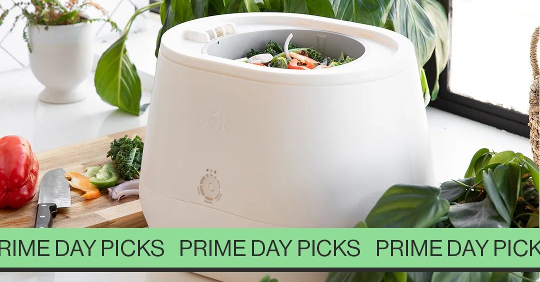 Pela Lomi FoodCycler — alternate view