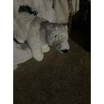 Polar Faux Fur Jumbo Polar Bear Plush — alternate view