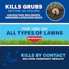 BAYER ADVANCED 24 Hour Grub Killer Plus 10 lb Insect Killer — alternate view