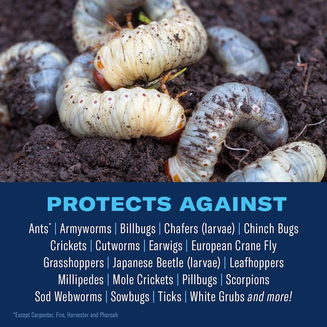 BAYER ADVANCED 24 Hour Grub Killer Plus 10 lb Insect Killer — alternate view