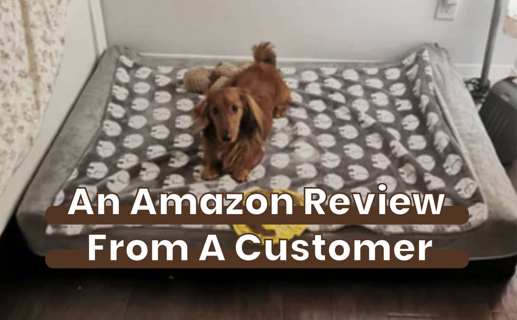 Laifug Dog Bed Orthopedic Memory Foam — alternate view
