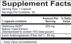 Ask Joe Dimatteo Immune System Support — alternate view
