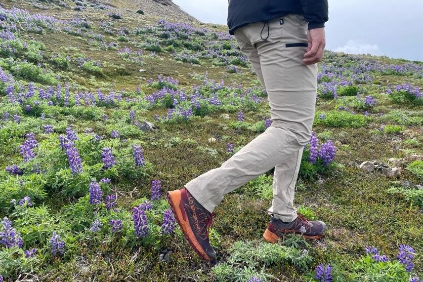 REI Co-op Trailmade Hiking Pants — alternate view