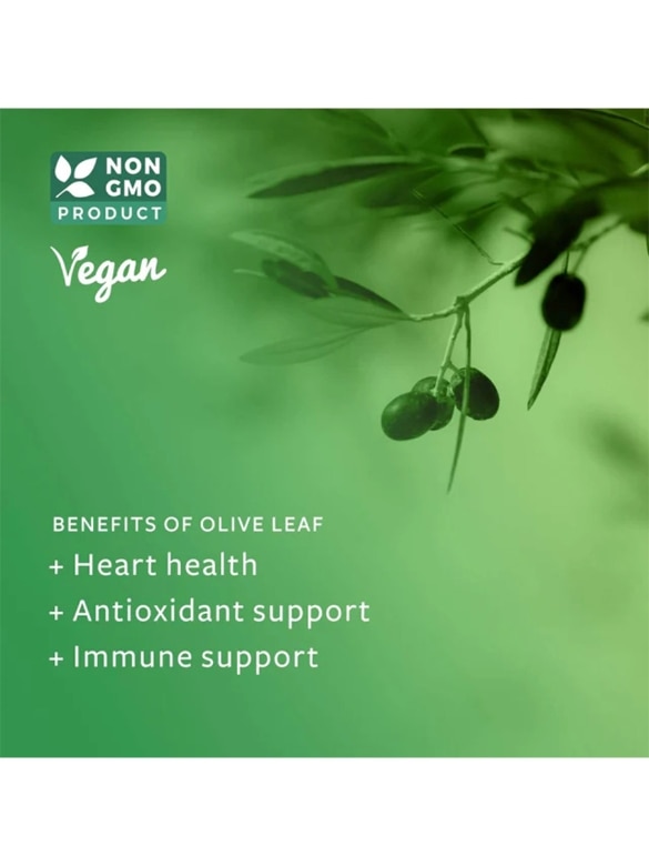 Healths Harmony Olive Leaf — alternate view